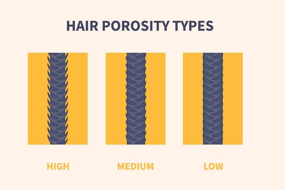 What Is Hair Porosity