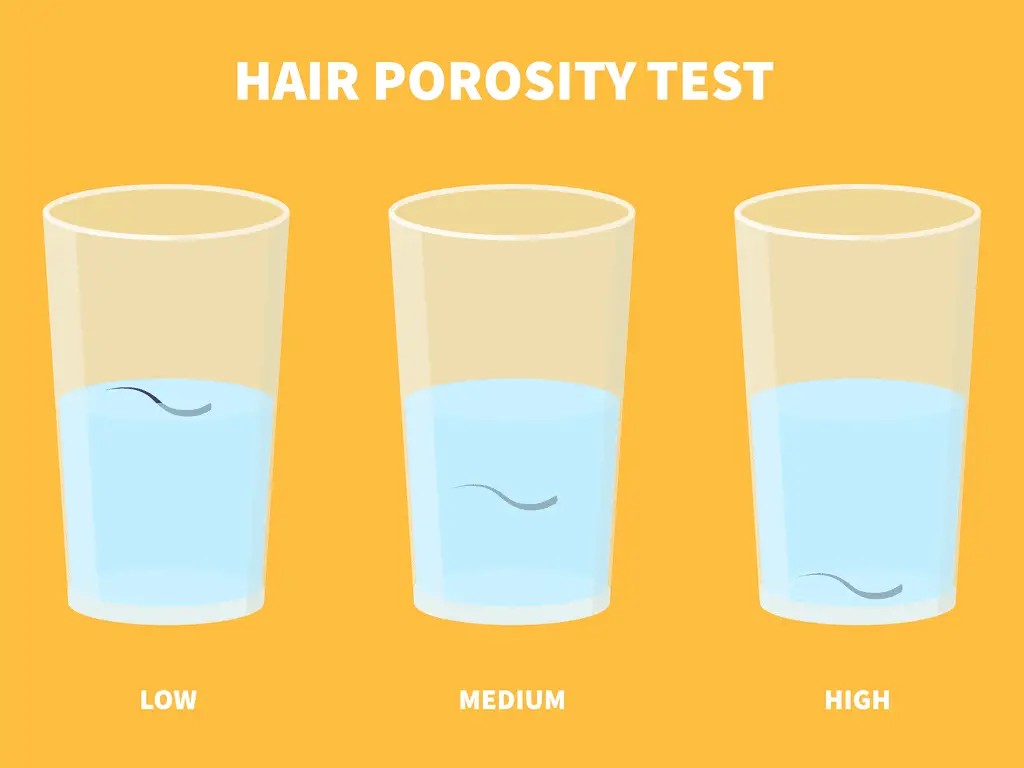 Hair Porosity Test